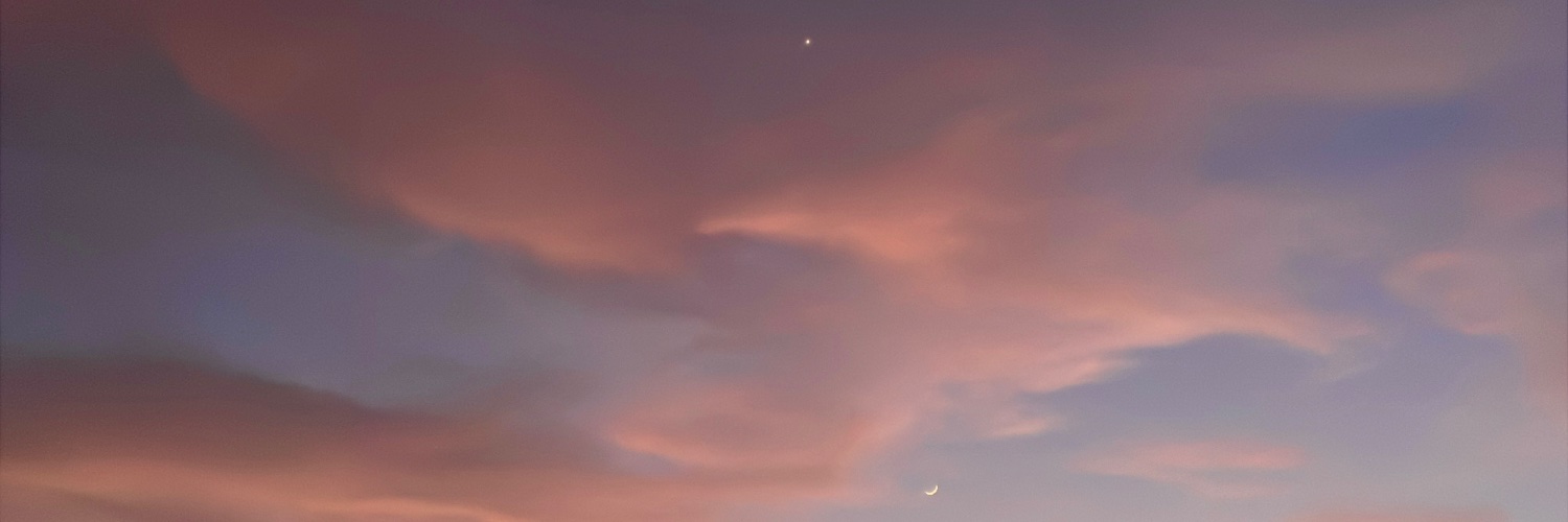 elifbilginer's profile banner image