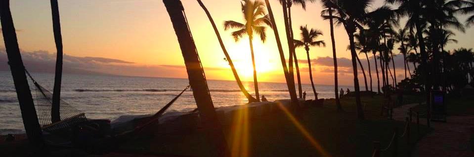 lauraemok's profile banner image