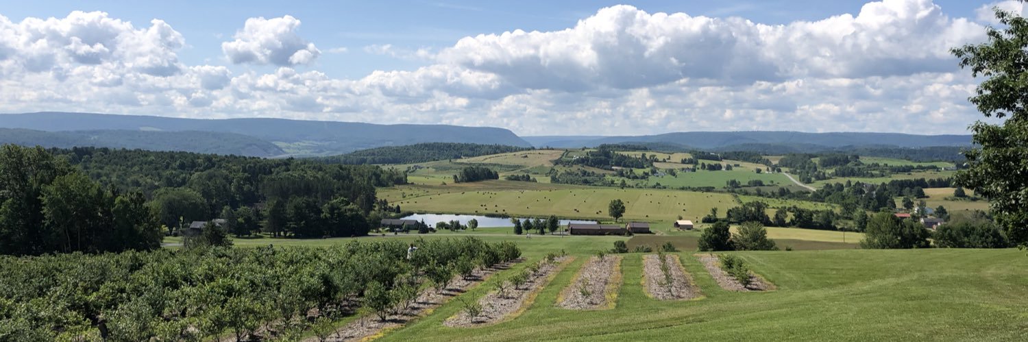 Laura Megronigle banner