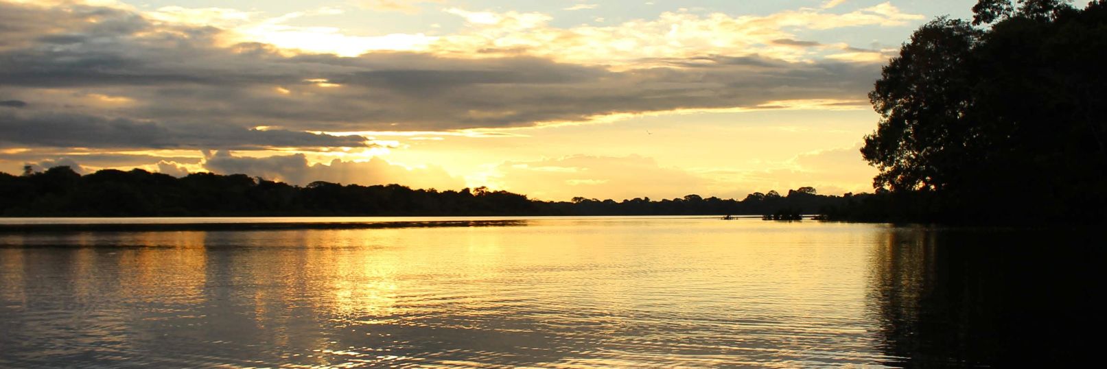 Caro García banner