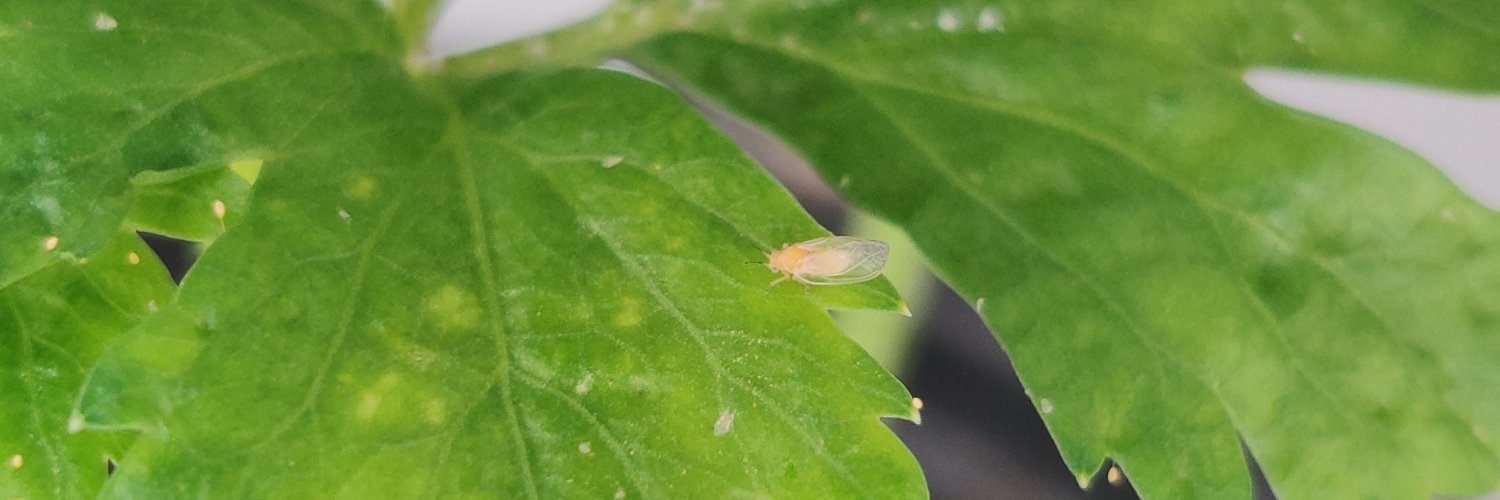 Pol Sarkar, M.Sc, PhD 🇮🇳🇮🇱🇺🇸 banner