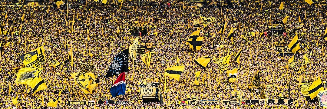 felipelondog's profile banner image