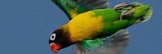 ARM_odoncore's profile banner image
