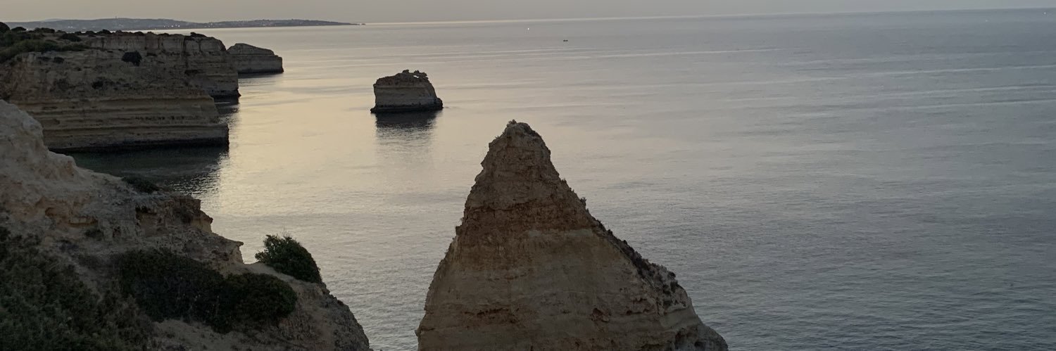 Pierreldry's profile banner image