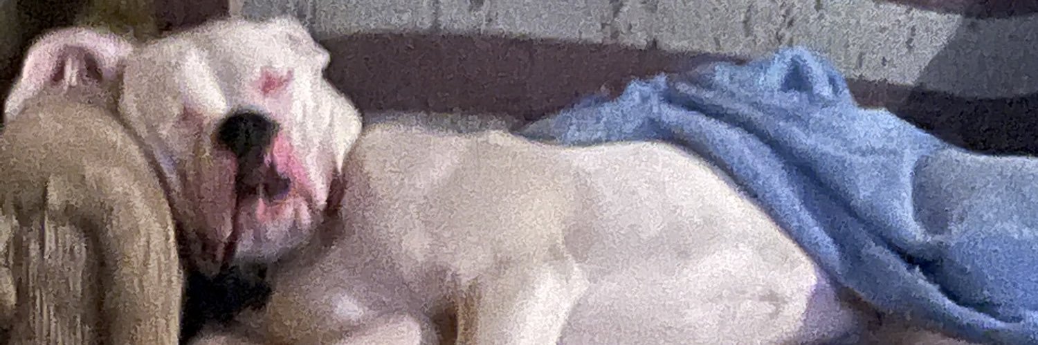 J_Hump30's profile banner image