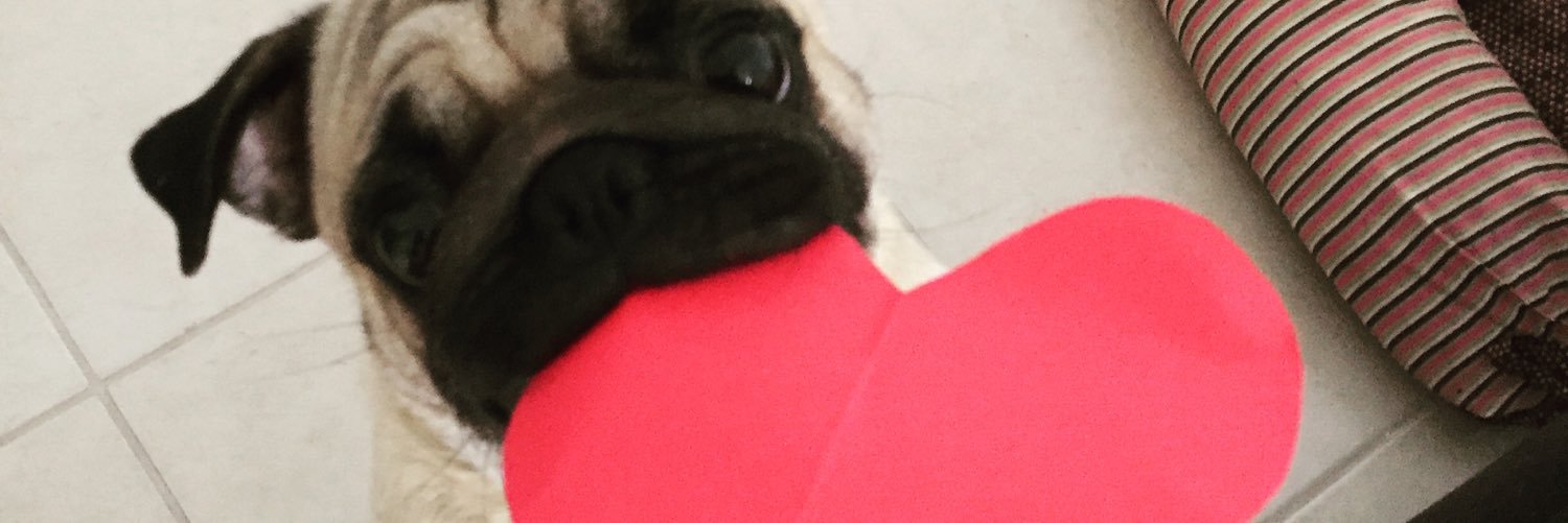 larafmontezzi's profile banner image