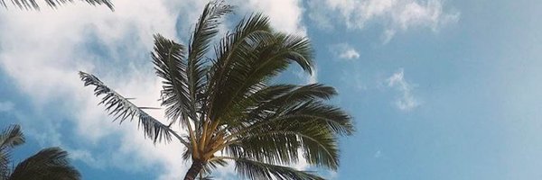 __CourtneySmith Profile Banner