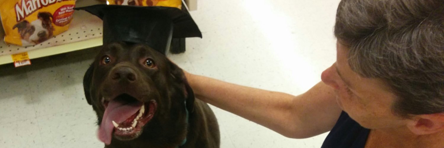 Emily Weistra banner