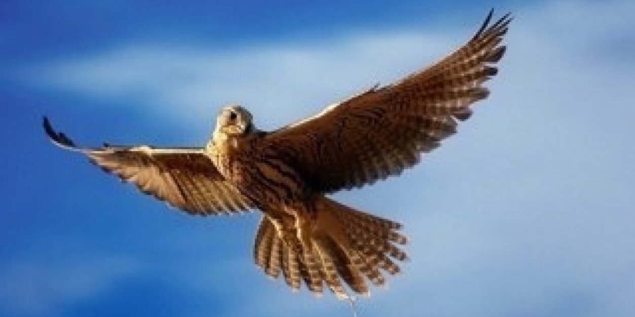 abdullah55986's profile banner image