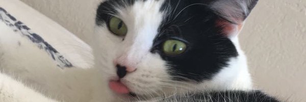 aleceldridge_24 Profile Banner