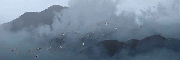 Mhdfattal111Al Profile Banner