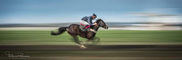 EquuisImages Profile Banner