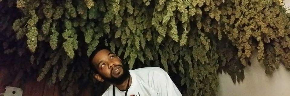Will_2x's profile banner image