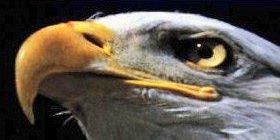 BARBAROS_70's profile banner image