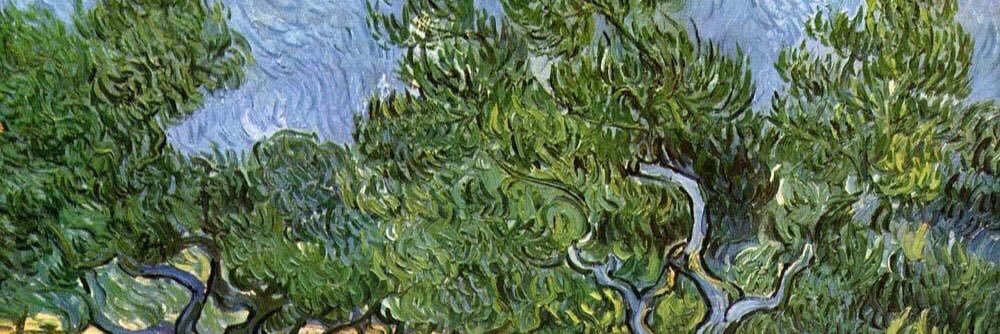 AyselBel's profile banner image