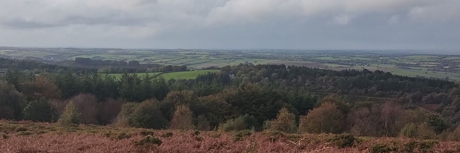 Brendan Stone 🇵🇸🇺🇳🇪🇺 banner