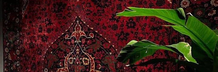 ahaifa2020's profile banner image