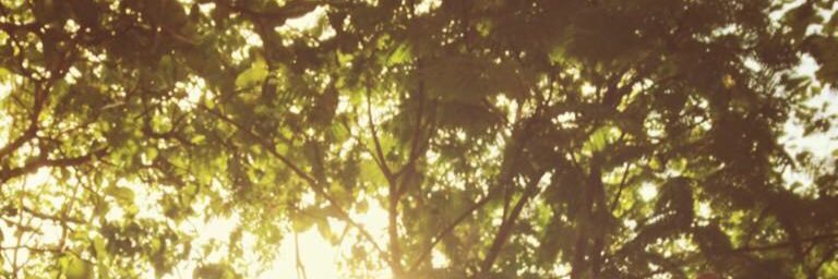 drikmlo's profile banner image