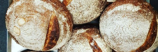 MartinThomasMaj Profile Banner