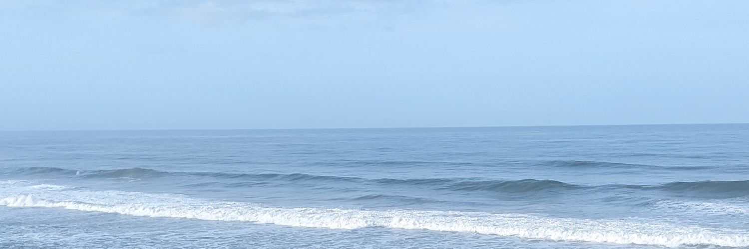 Naved نوید banner