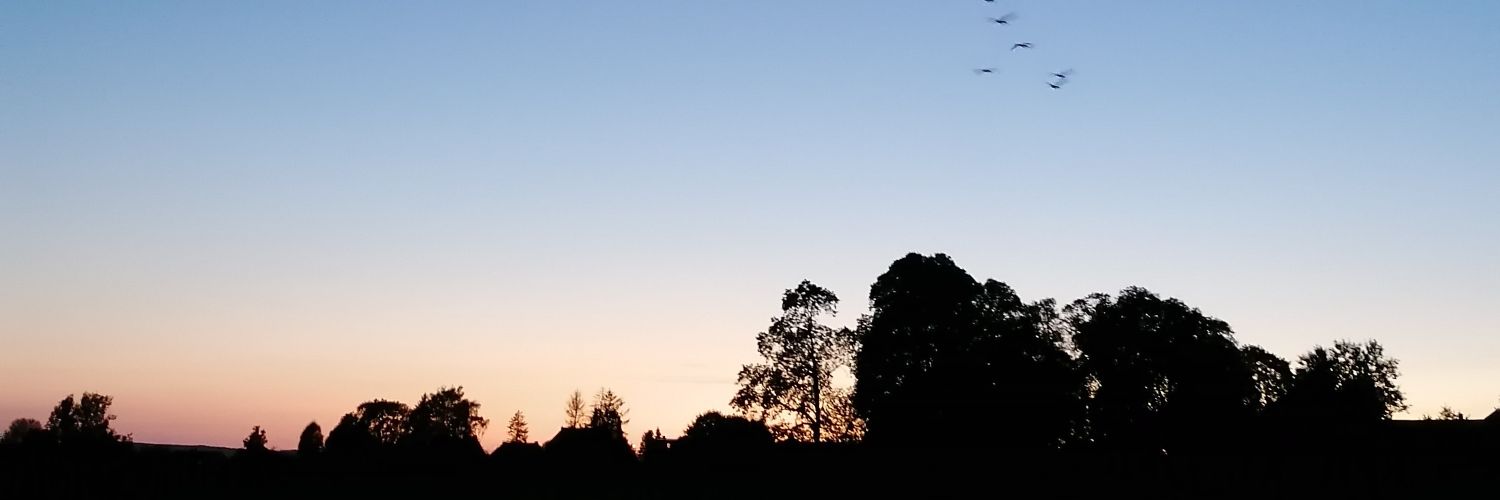 ElvisClooth's profile banner image