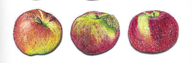 tomarketmag's profile banner image