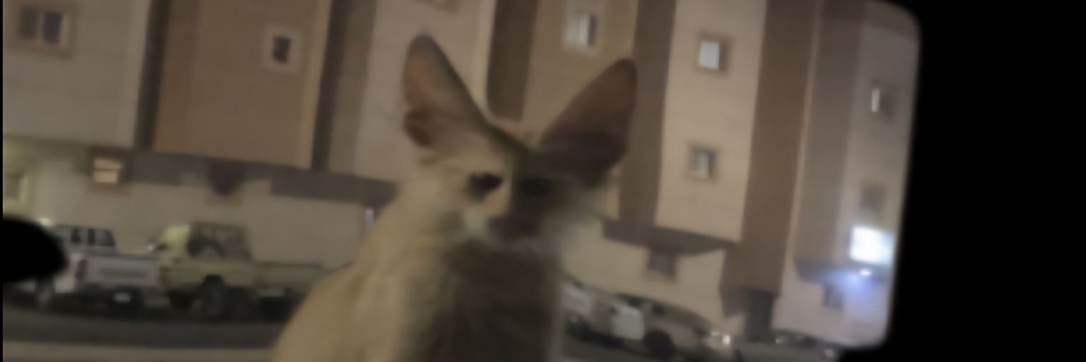 0B3iz's profile banner image