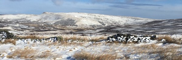 hillson_alison Profile Banner