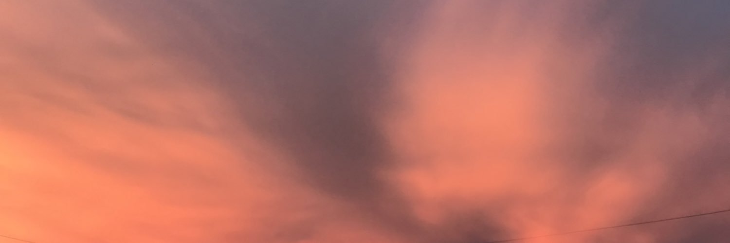 jinjilune's profile banner image