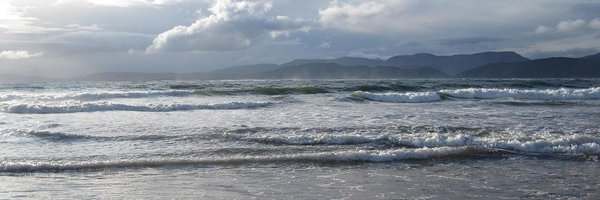fergal_reid Profile Banner