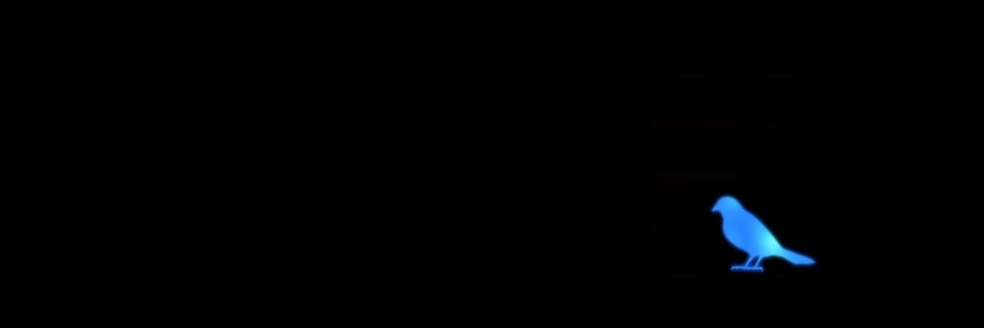 alissonrbero's profile banner image
