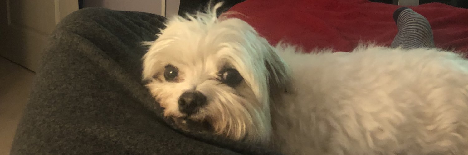 cesaroliver41's profile banner image