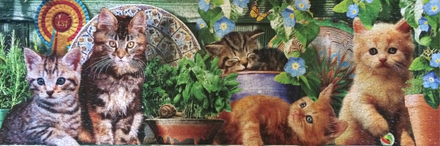 JulieAnneCuster's profile banner image