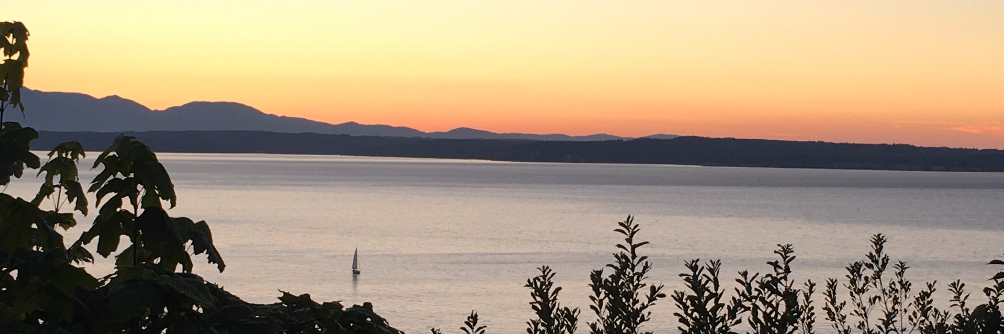 Kate Gentry MD, MA banner