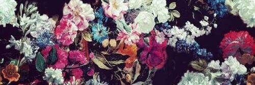 judgingflower's profile banner image