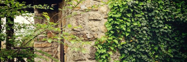 WinterCahill Profile Banner