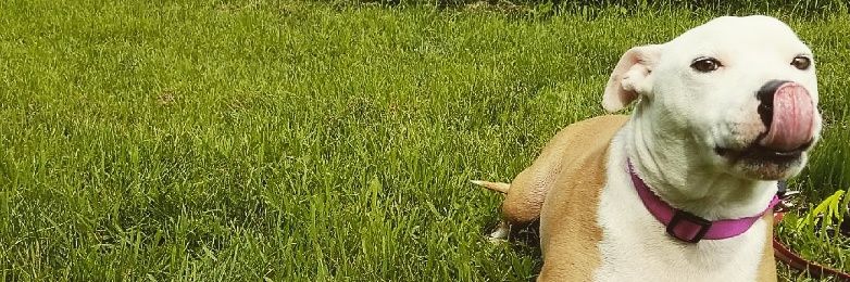 ClareButtke's profile banner image