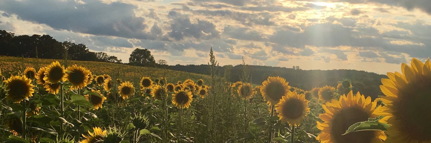 JMeyers_'s profile banner image