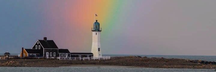 jacobs_teddi's profile banner image
