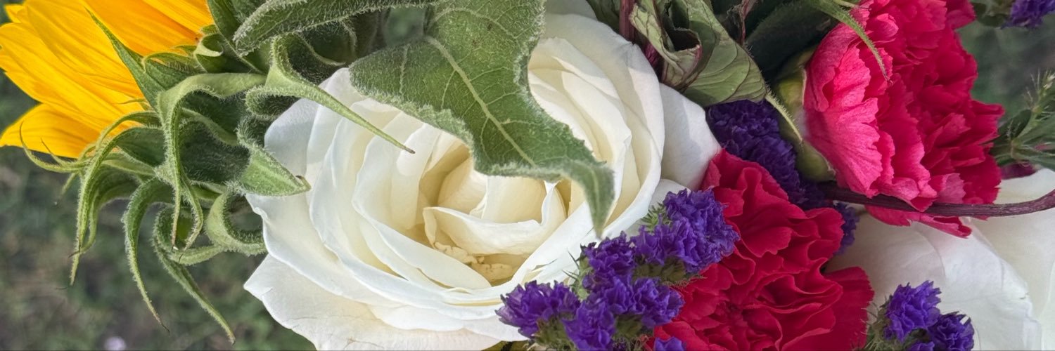 jaclynocean's profile banner image