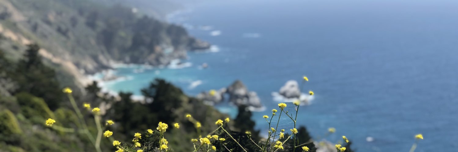 NourAlk's profile banner image