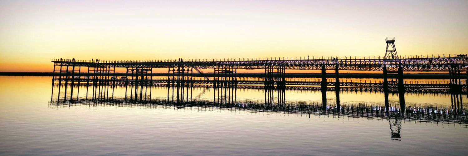 S.Botello 💚🤍💚 banner