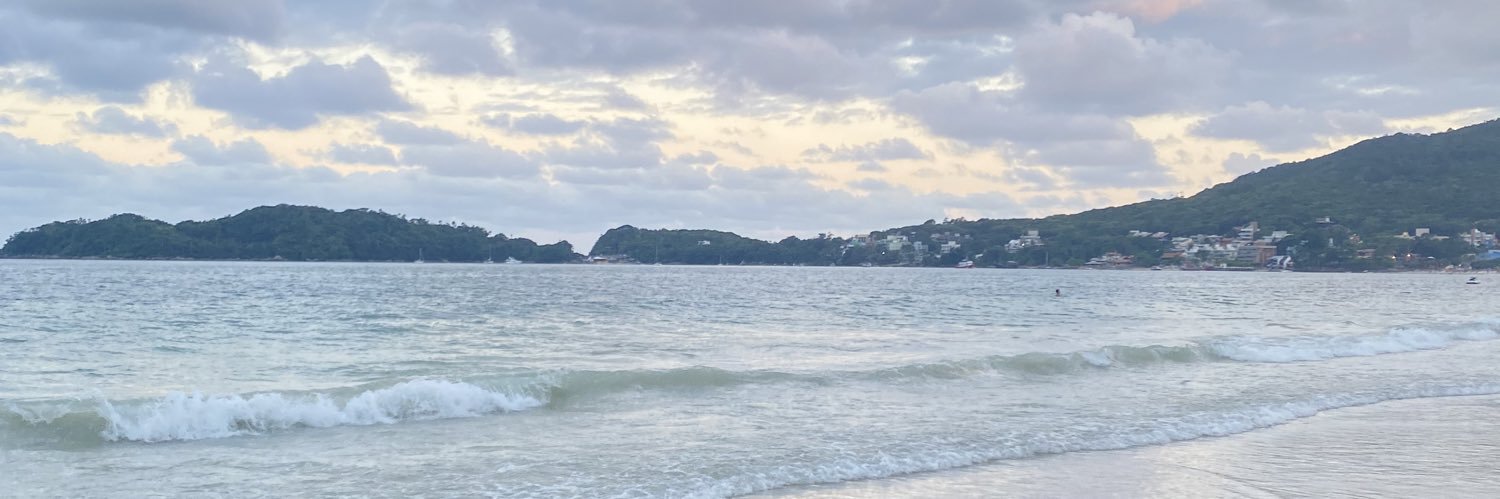lu_puiatti's profile banner image