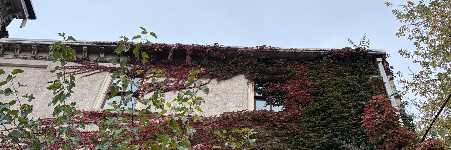 summer🪴🍉 banner