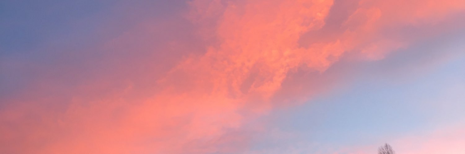 ineberraz's profile banner image