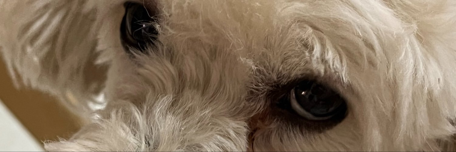 CandeFuentes_'s profile banner image