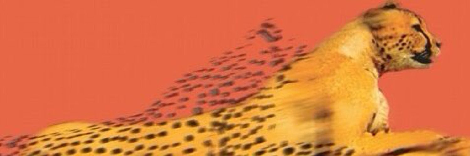 Lem banner