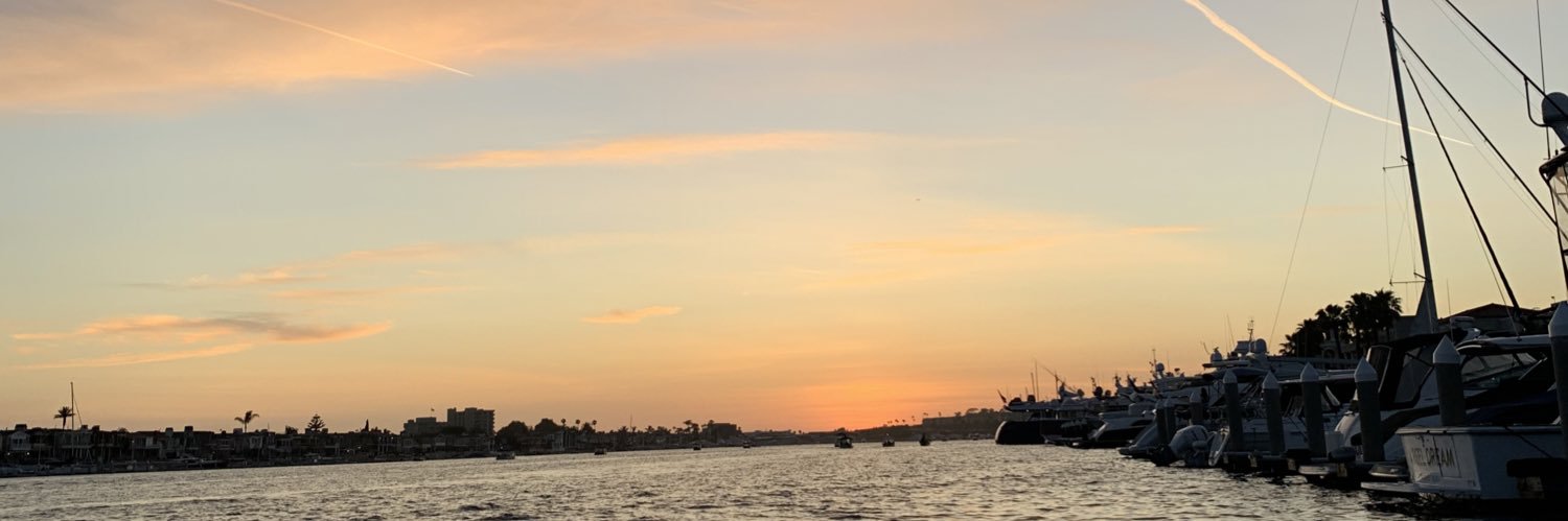 avalynesok's profile banner image