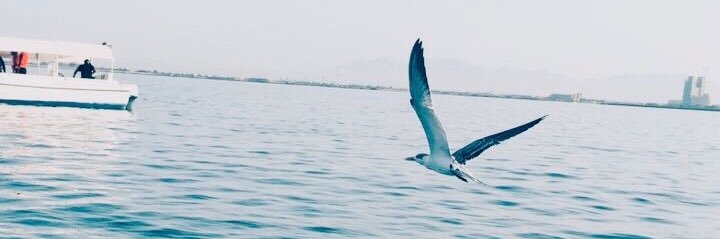 1reeky1's profile banner image