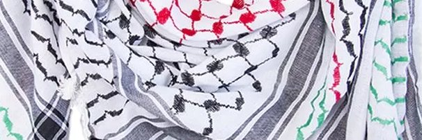 🇵🇸 Ramón H. Benjamín M. banner